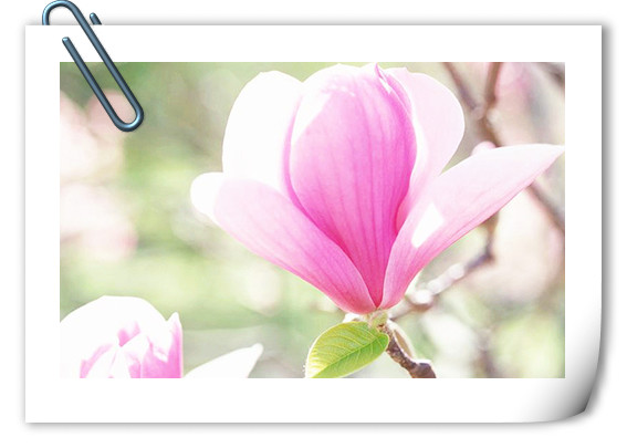 电竞比赛押注app