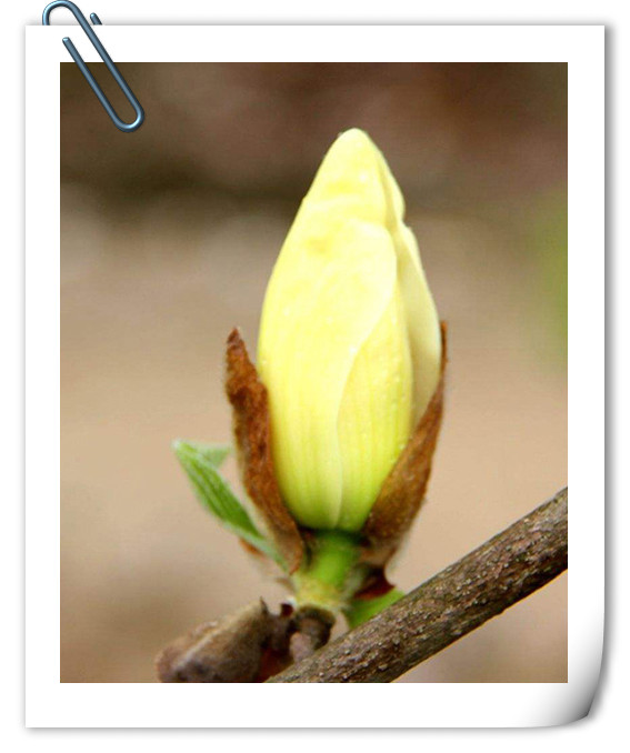 电竞比赛押注app