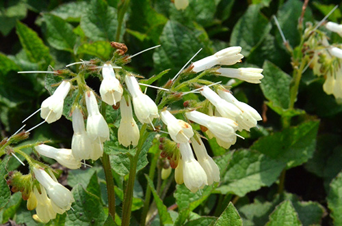 电竞比赛押注app