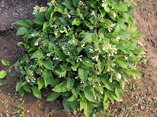 电竞比赛押注app