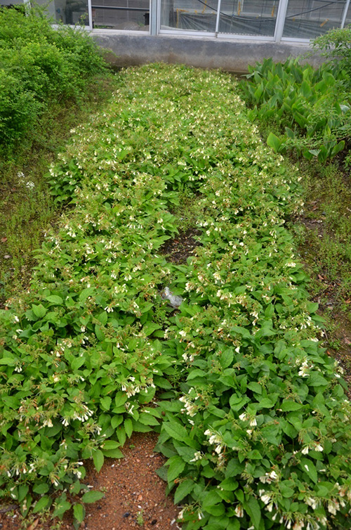 电竞比赛押注app