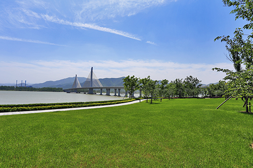 电竞比赛押注app