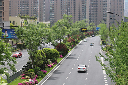 电竞比赛押注app