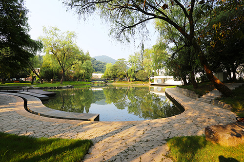 电竞比赛押注app