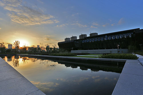 电竞比赛押注app