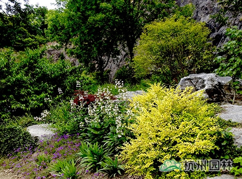 电竞比赛押注app