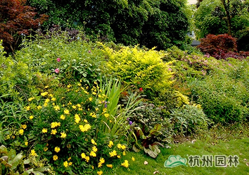 电竞比赛押注app