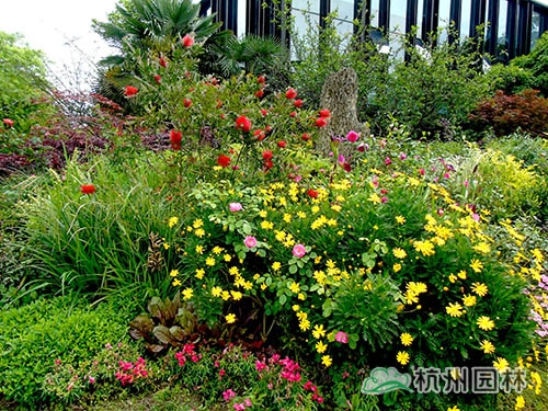 电竞比赛押注app