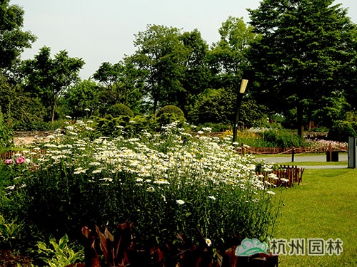 电竞比赛押注app