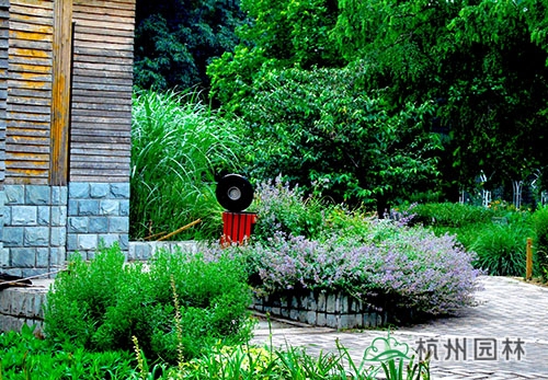 电竞比赛押注app