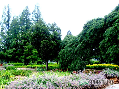 电竞比赛押注app