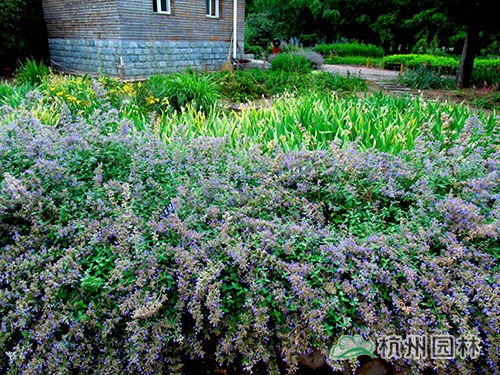 电竞比赛押注app