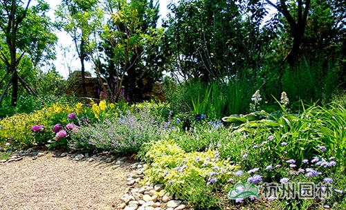 电竞比赛押注app