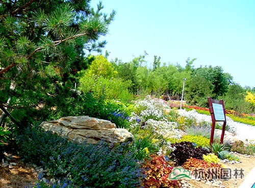 电竞比赛押注app