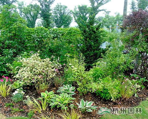 电竞比赛押注app