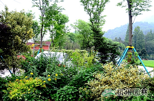 电竞比赛押注app