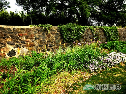 电竞比赛押注app