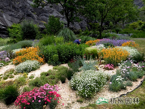 电竞比赛押注app