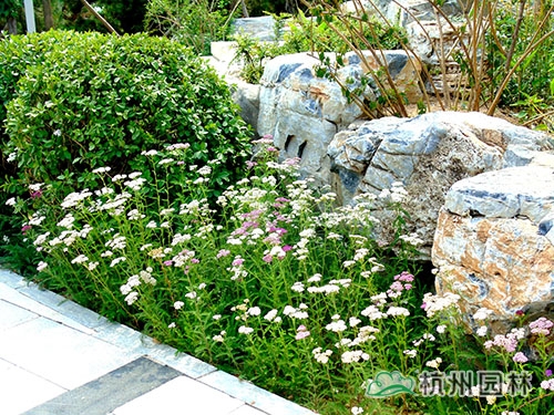 电竞比赛押注app