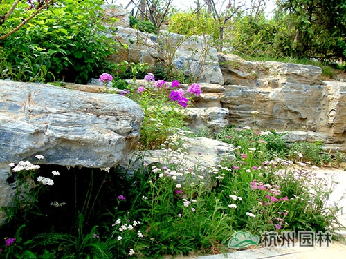 电竞比赛押注app