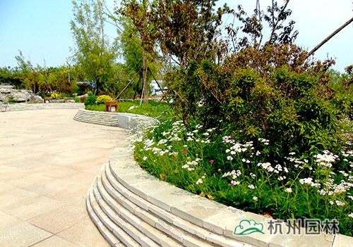 电竞比赛押注app