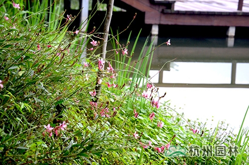 电竞比赛押注app