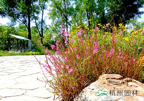 电竞比赛押注app