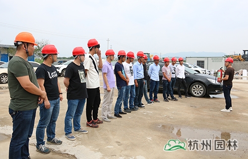 电竞比赛押注app