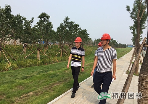 电竞比赛押注app