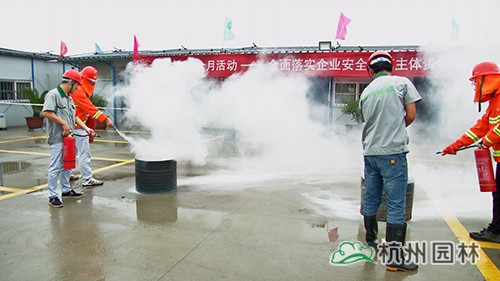 电竞比赛押注app