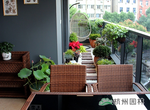 电竞比赛押注app