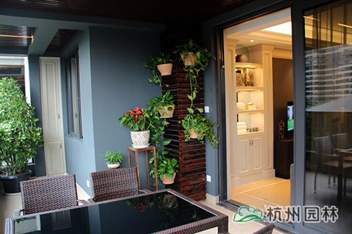 电竞比赛押注app