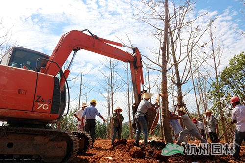 电竞比赛押注app