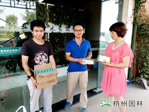 电竞比赛押注app