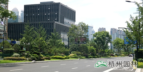 电竞比赛押注app