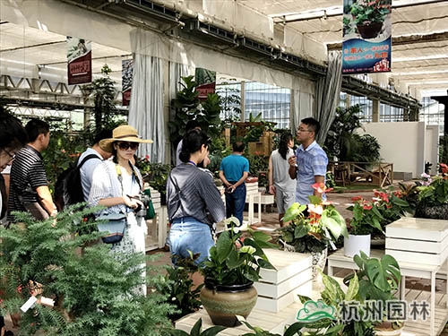 电竞比赛押注app