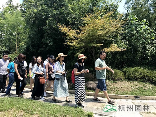 电竞比赛押注app