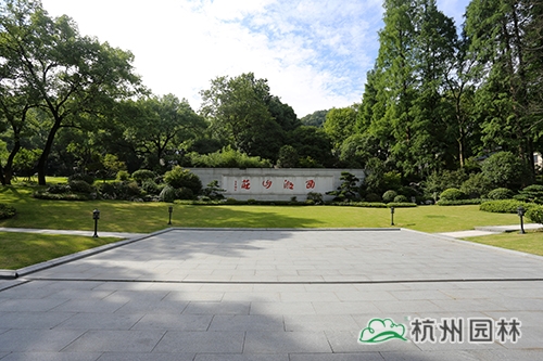 电竞比赛押注app