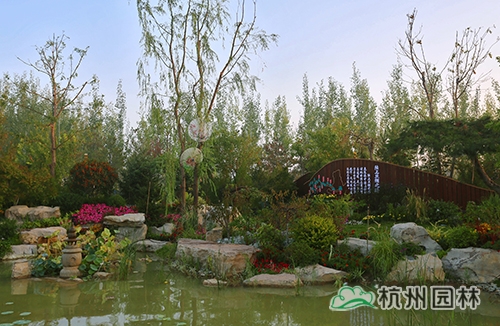 电竞比赛押注app