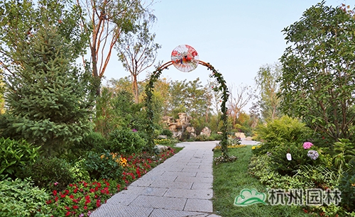 电竞比赛押注app