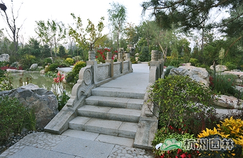 电竞比赛押注app