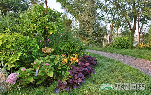 电竞比赛押注app