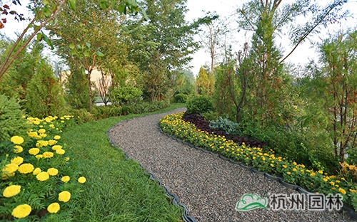 电竞比赛押注app