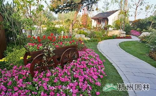 电竞比赛押注app