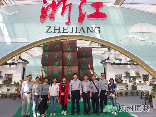 电竞比赛押注app