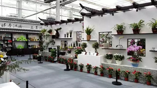 电竞比赛押注app