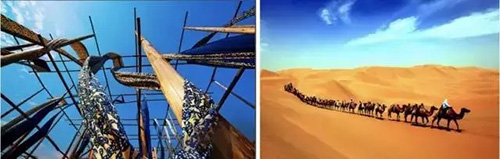 电竞比赛押注app