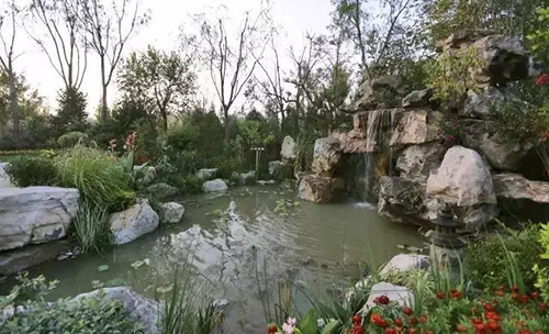 电竞比赛押注app