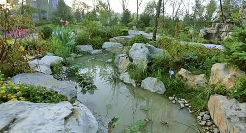 电竞比赛押注app