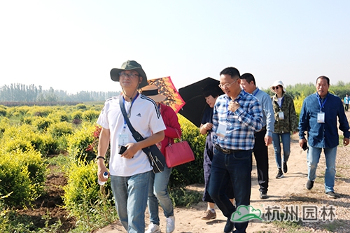 电竞比赛押注app